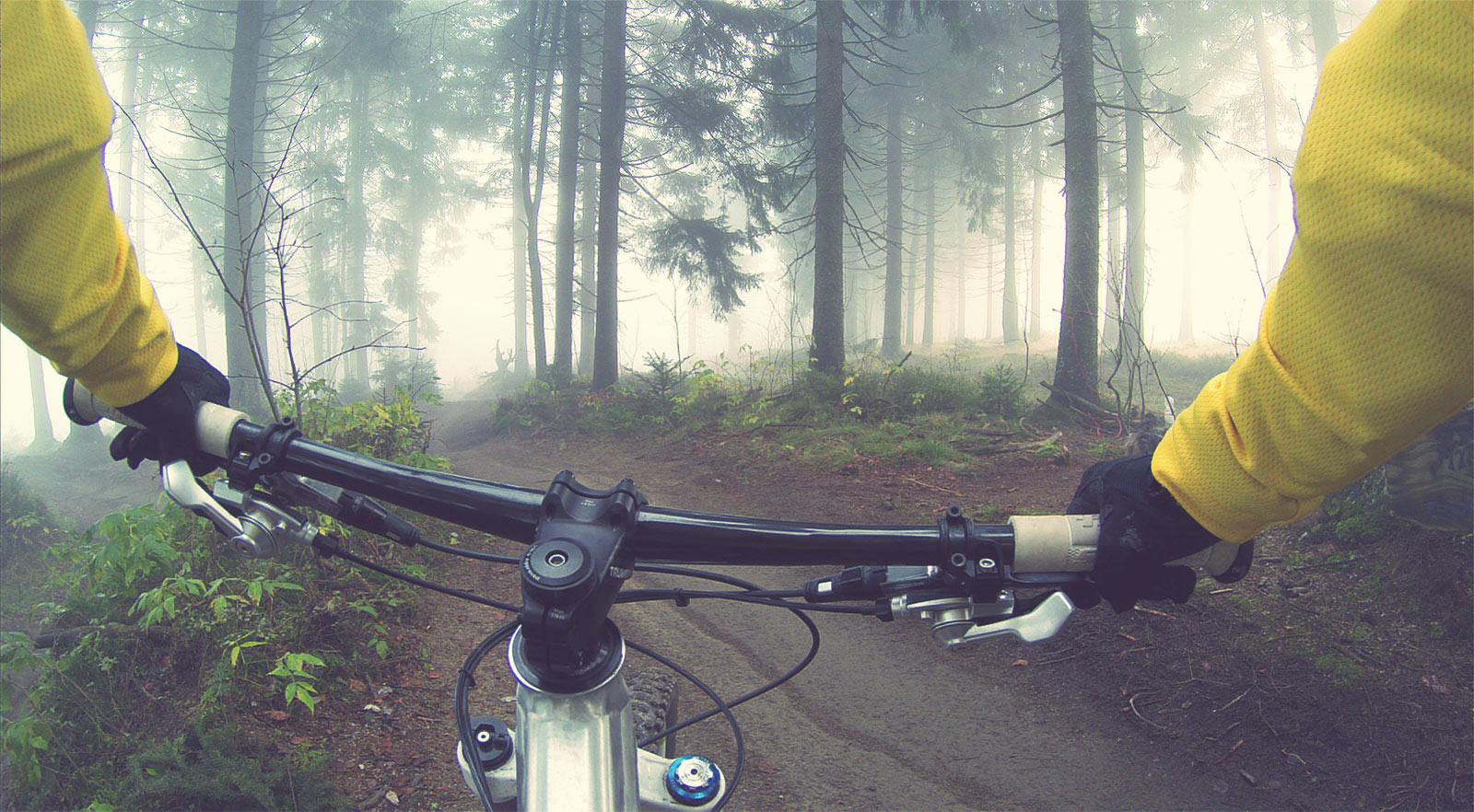 Trail Trail